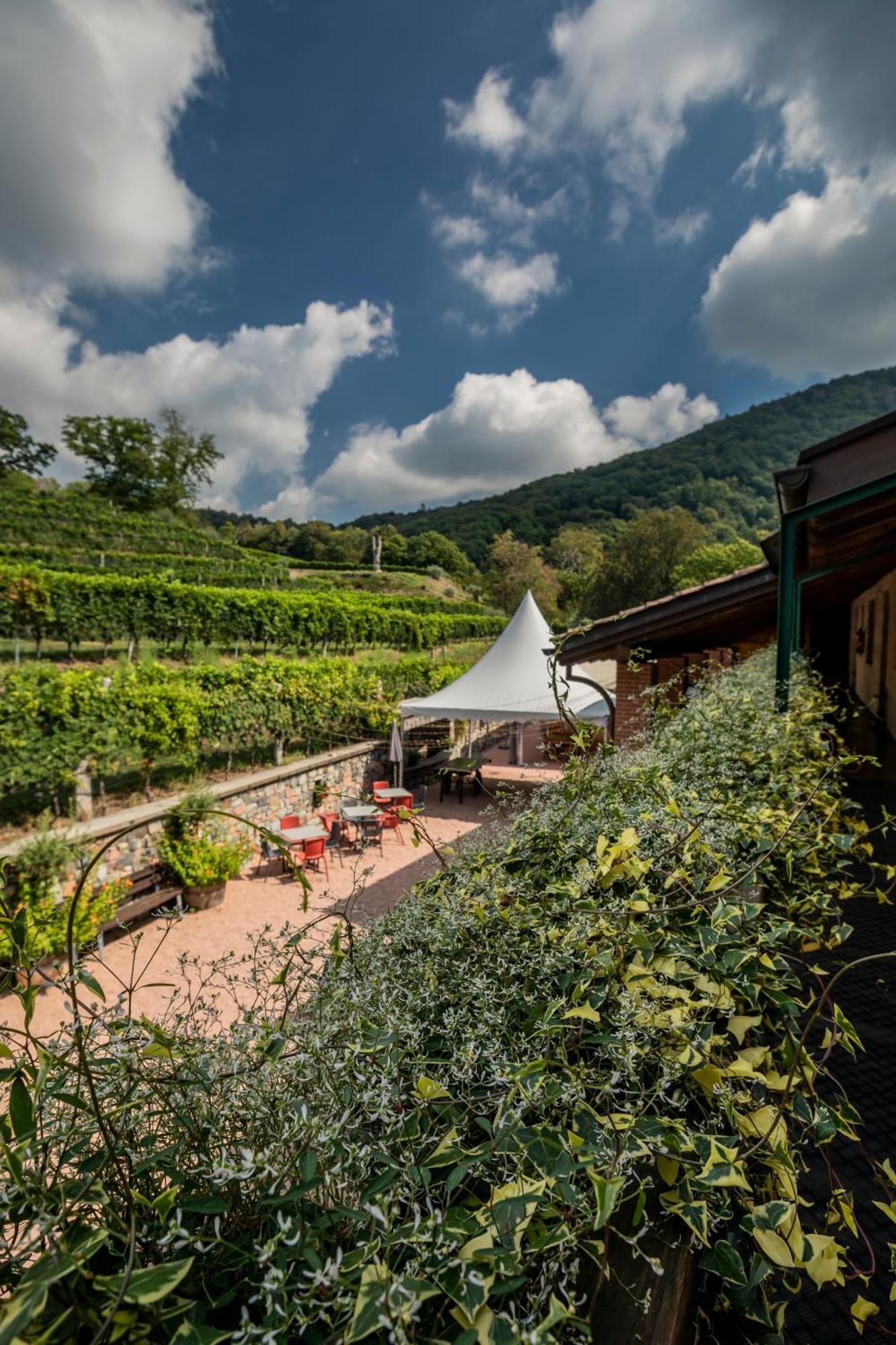 बिस्तर और नाश्ता Wine & Art Relais Vallombrosa Castelrotto