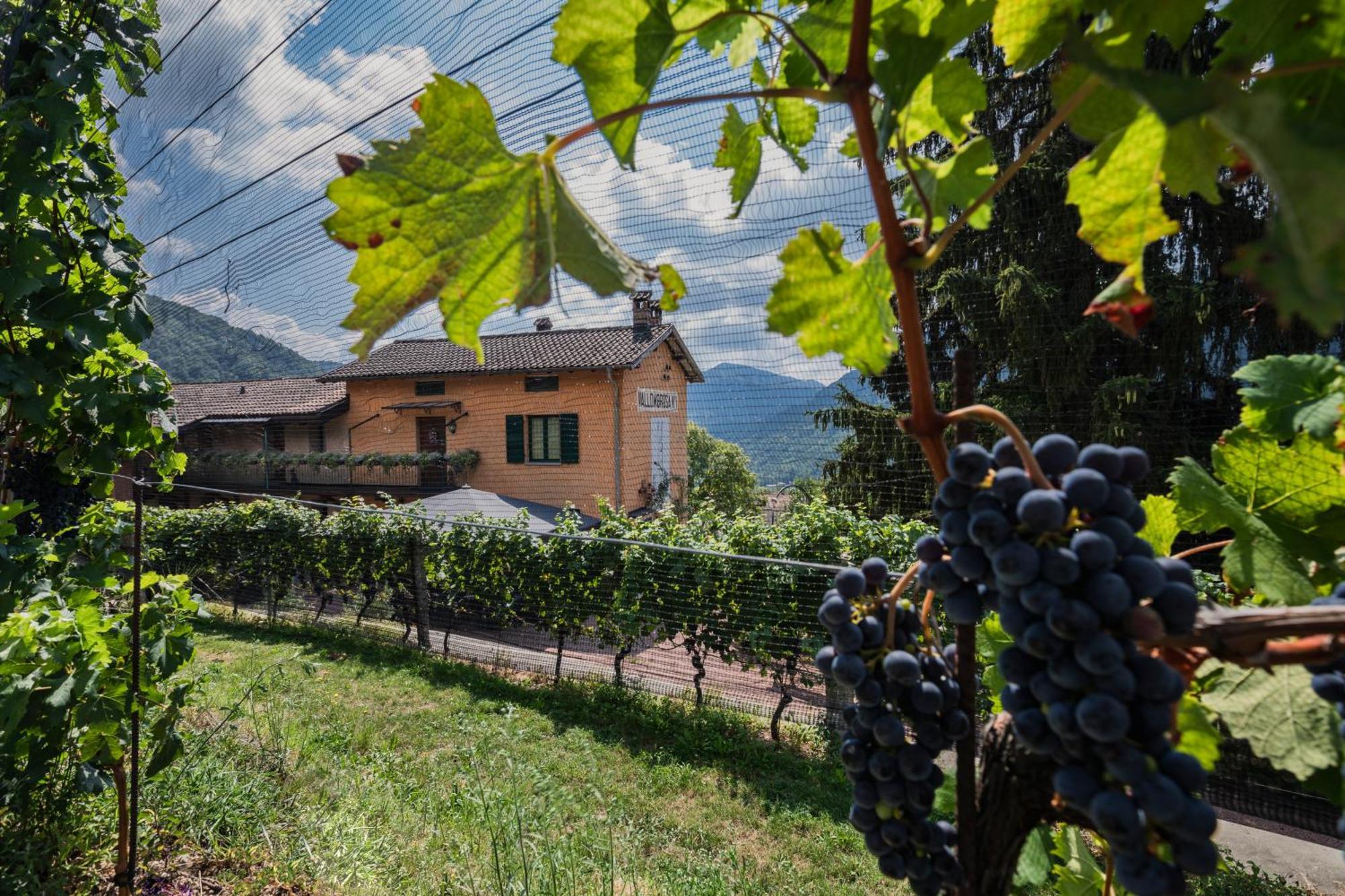 Wine & Art Relais Vallombrosa 3* Castelrotto